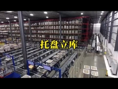 Μέγιστο βάρος 3500 kg Συστήματα αυτόματης ράφης παλέτας AS-RS Stacker με διπλή στήλη