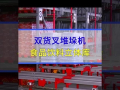 Μέγιστο βάρος 3500 kg Συστήματα αυτόματης ράφης παλέτας AS-RS Stacker με διπλή στήλη